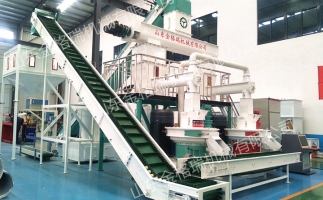 2023年木屑顆粒機生產生物質燃料顆粒行情、利潤怎么樣，投資多少大約？