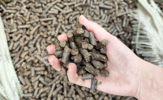 木屑顆粒機將秸稈變廢為寶，降碳節能一舉兩得